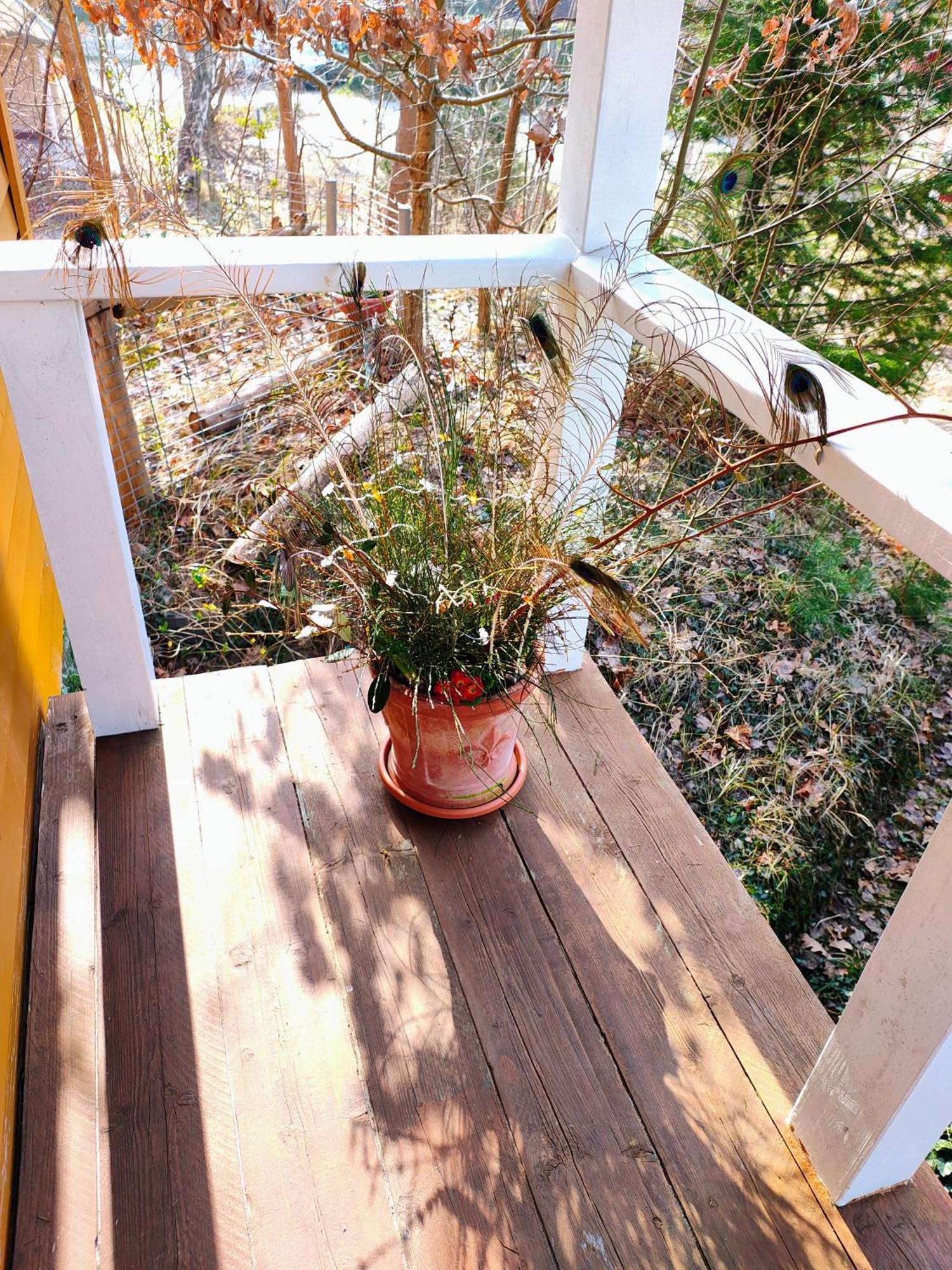 Zu Haus In Der Ferne Villa Baabe Exteriör bild